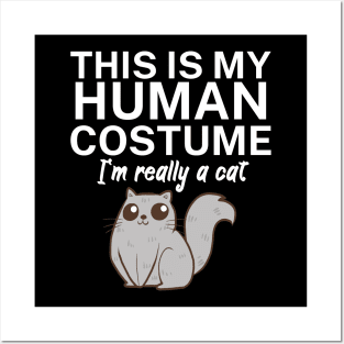This is my human costume. I'm really a cat. Posters and Art